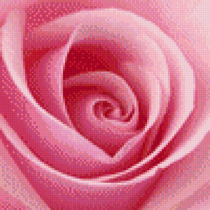 Роза 4 - цветы - предпросмотр