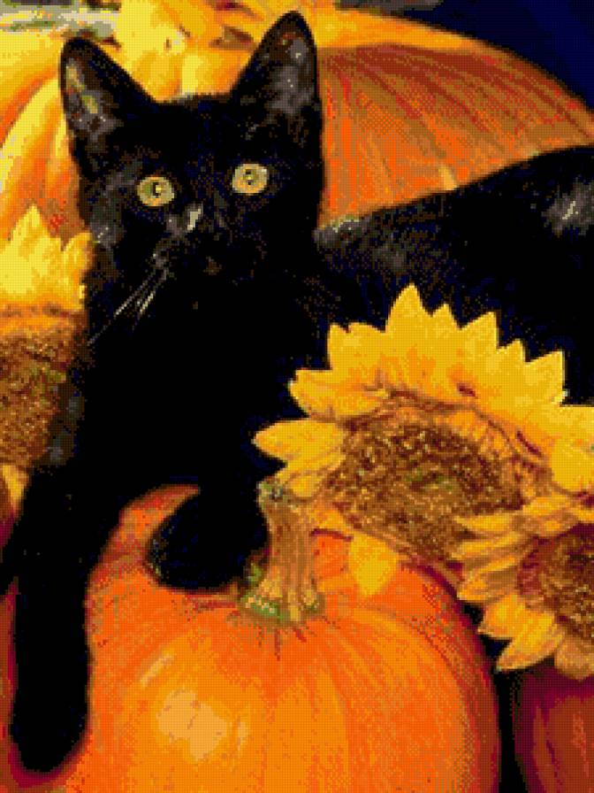 хэлоуинский кот - котики - предпросмотр