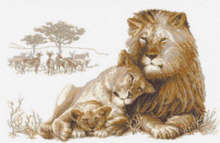 Львы - предпросмотр