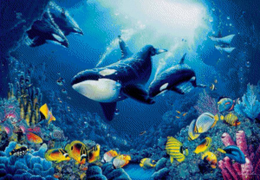 №601710 - касатки, море - предпросмотр