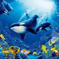 Схема вышивки «№601710»