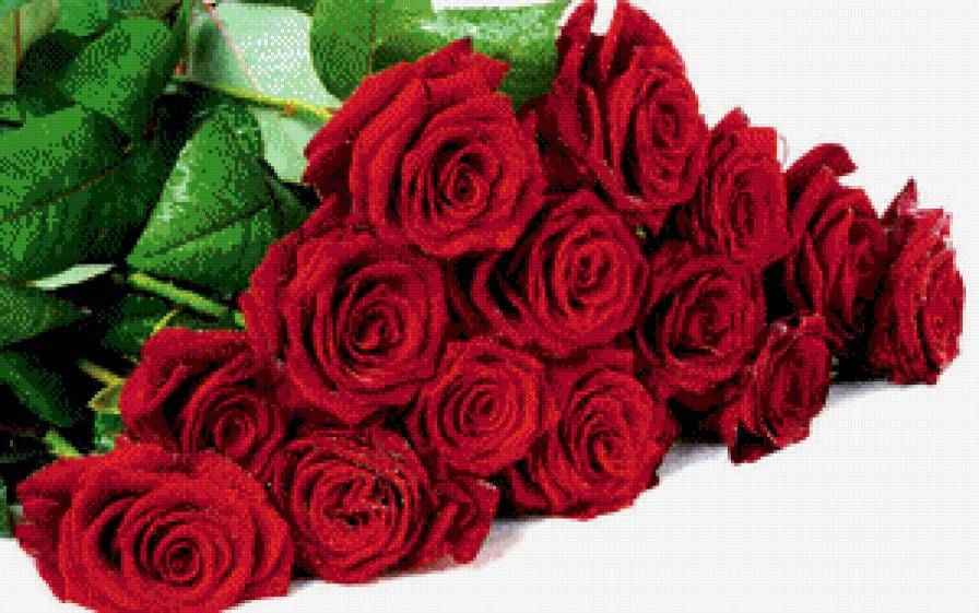 Rose - предпросмотр