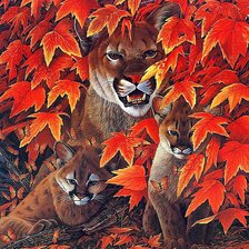 Схема вышивки «Семья пумы»