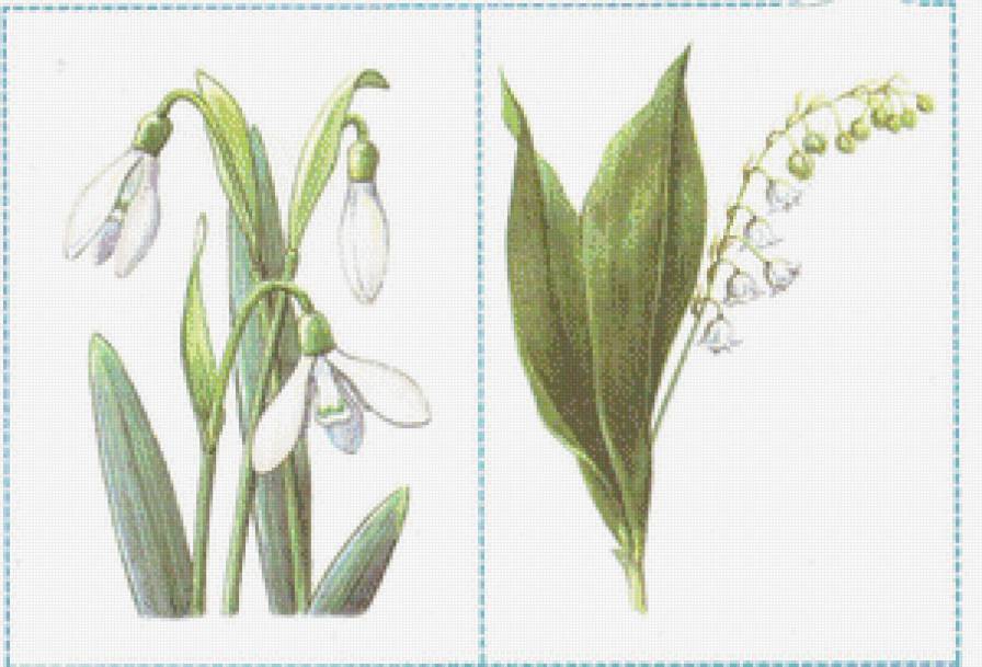 Диптих" Весенние цветы" - натюрморт, подснежники, цветы, ландыши - предпросмотр