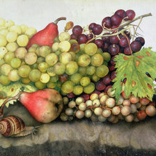 Схема вышивки «Натюрморт с улиткой»