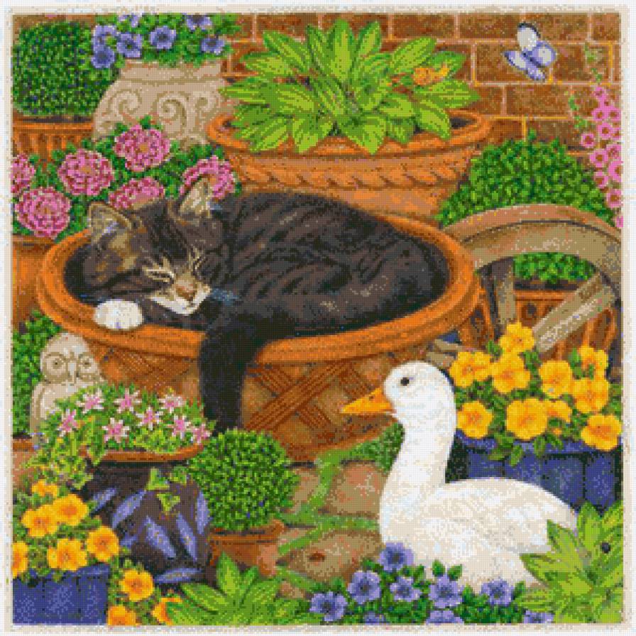 хватит спать пошли играть - котики - предпросмотр