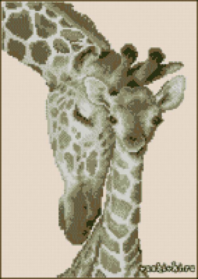 мамина любовь - мама, животные, жираф - предпросмотр