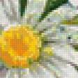 Предпросмотр схемы вышивки «ромашки» (№602184)