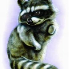 Схема вышивки «Енотик»