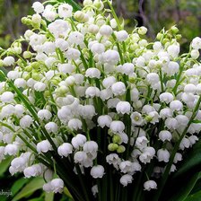 Схема вышивки «№602358»