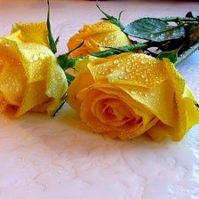 Схема вышивки «№602369»