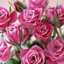 Схема вышивки «№602375»