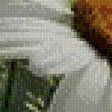 Предпросмотр схемы вышивки «№602377»