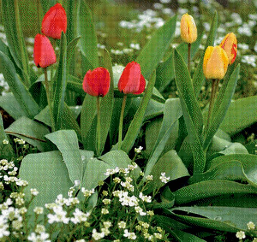 №602378 - предпросмотр