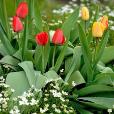 Схема вышивки «№602378»