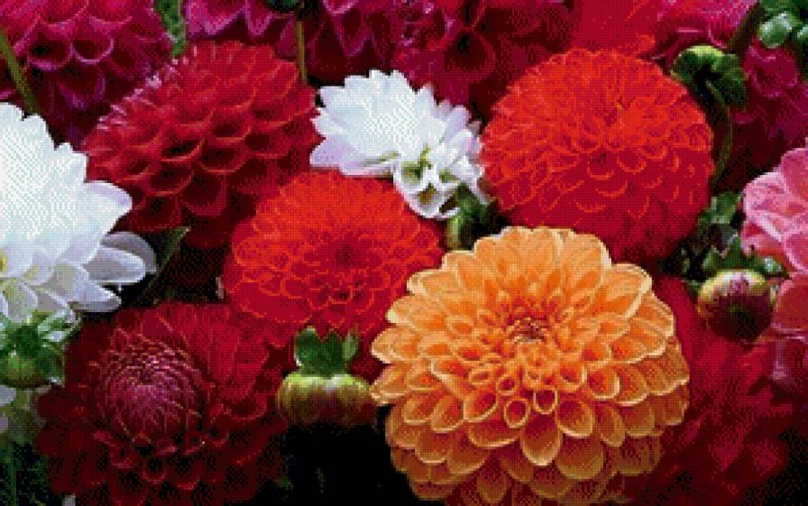 №602379 - предпросмотр