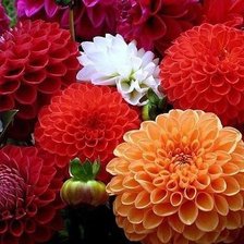 Схема вышивки «№602379»