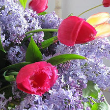 Схема вышивки «№602385»