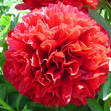 Схема вышивки «№602395»