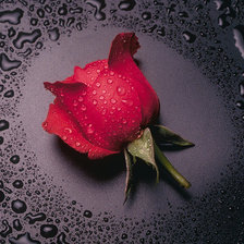 Схема вышивки «№602405»