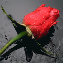 Схема вышивки «№602407»