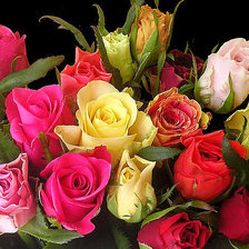 Схема вышивки «№602409»