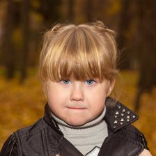 Схема вышивки «Викуньси»