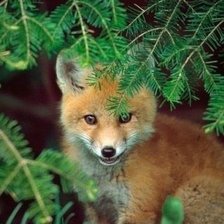 Схема вышивки «№602449»