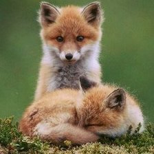 Схема вышивки «№602453»