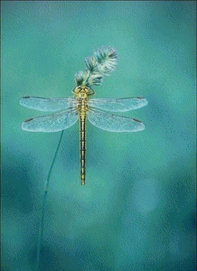 №602459 - стрекоза - предпросмотр
