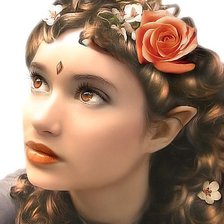 Схема вышивки «королева  эльфов»