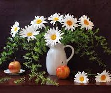 Схема вышивки «ромашки»