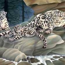 Снежный барс