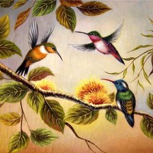 Схема вышивки «колибри»