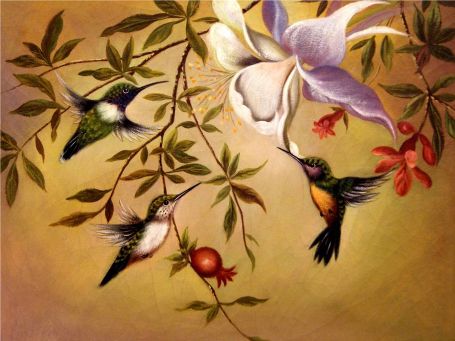 колибри и цветы - цветы, птицы, колибри - оригинал