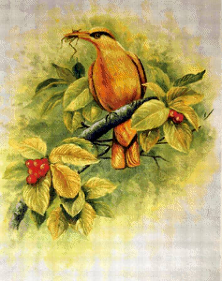 птичка - ягоды, птицы - предпросмотр