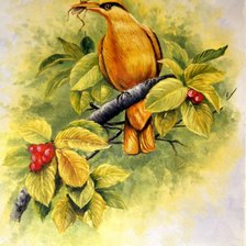 Схема вышивки «птичка»