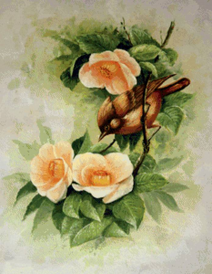 птичка в цветах - птицы, цветы - предпросмотр