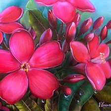 Схема вышивки «плюмерия»