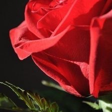 Схема вышивки «№602610»