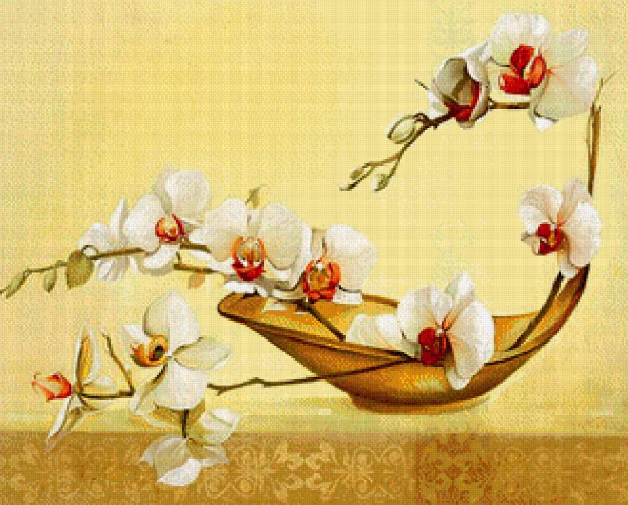 Орхидея - орхидея - предпросмотр