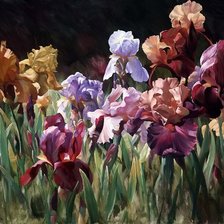 Схема вышивки «ирисы»