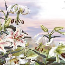 Схема вышивки «лилии»