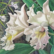 Схема вышивки «белые цветы»