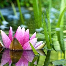 Схема вышивки «№602858»