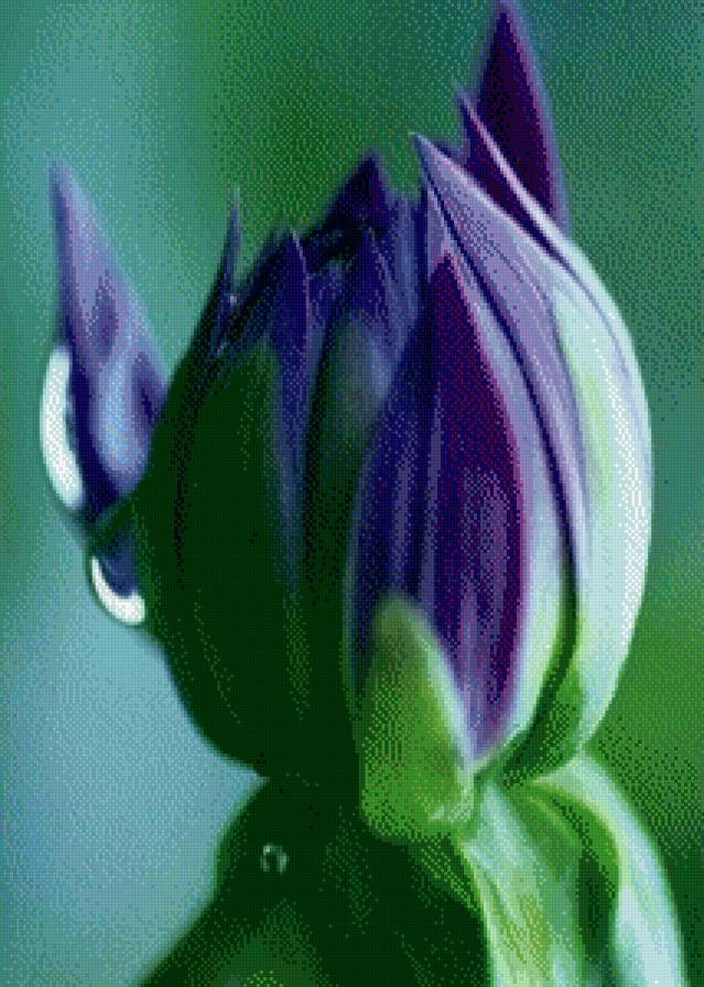 №602862 - цветок - предпросмотр