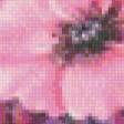 Предпросмотр схемы вышивки «розовый натюрморт» (№602972)