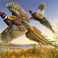 Схема вышивки «птицы»