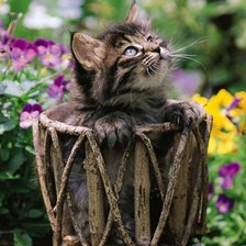 Схема вышивки «№603169»