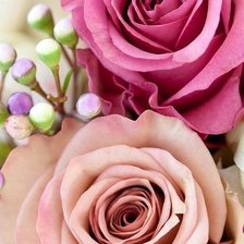 Схема вышивки «№603218»